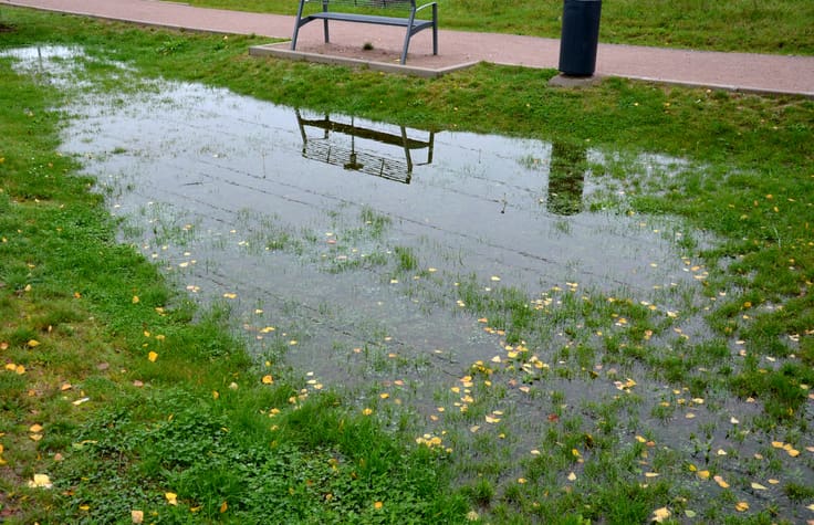 A lake was created in the park on the lawn, which gradually infiltrate as damage to the lawn long flooding.