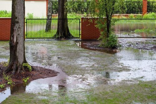 A muddy backyard with puddles after spring rain