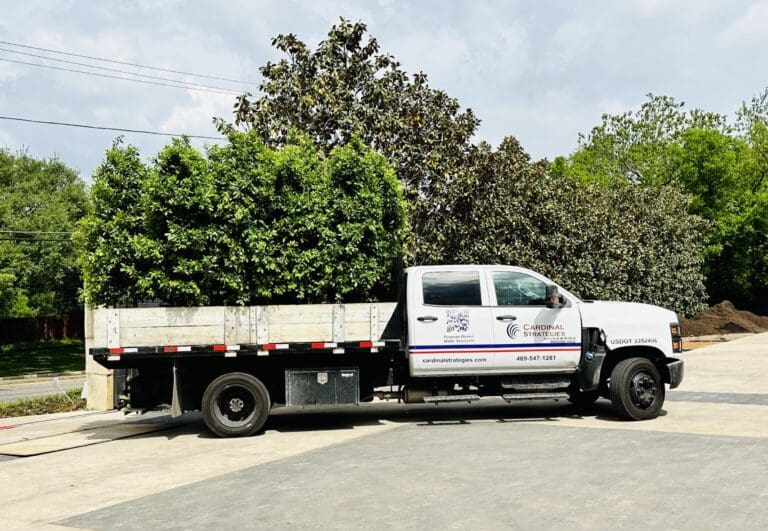Cardinal Strategies flatbed truck with tress in the back.