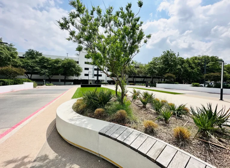 A flowerbed with a tree in it with a parking garage in the background.