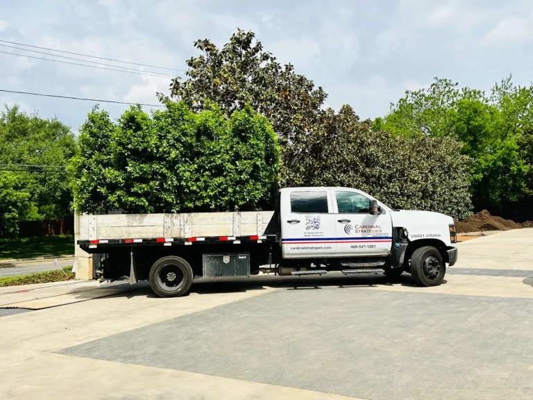 Landscape and Irrigation truck with trees loaded in the back