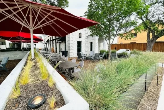 Dry brush landscaping on restaurant patio