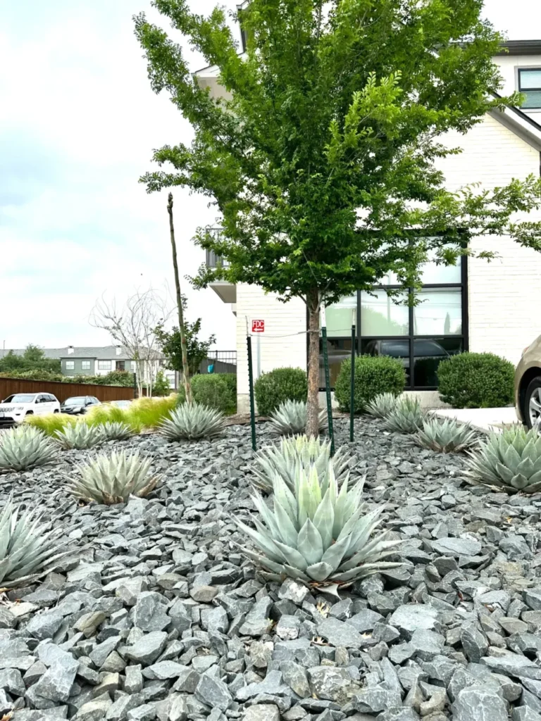 A flowerbed filled with gravel rocks in front of a building with a tree.