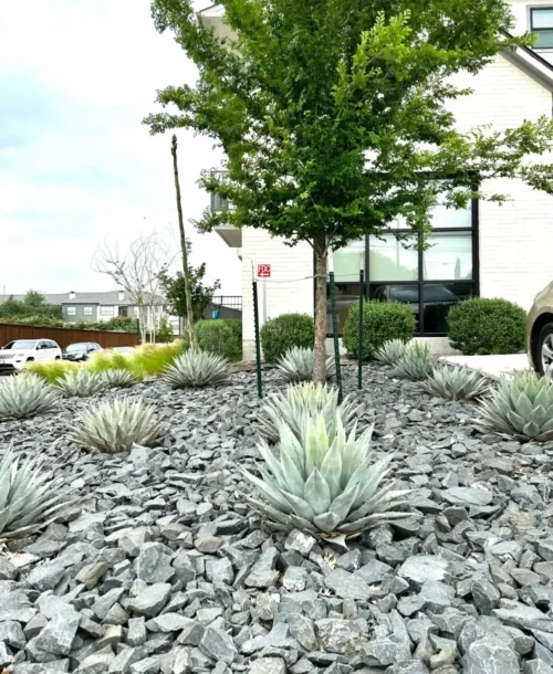 A flowerbed filled with gravel rocks in front of a building with a tree.