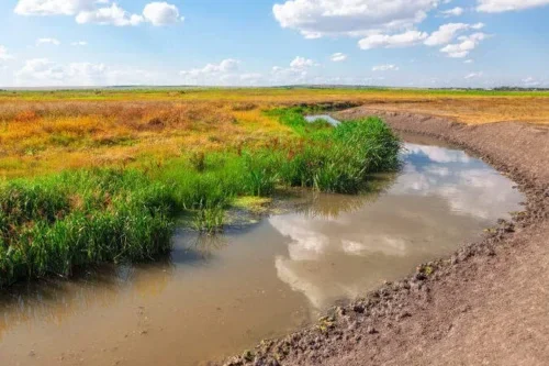 Landscape photo of water with greenage and dirt surrounding Texas.