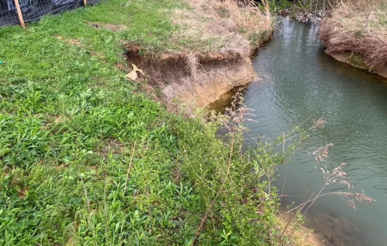 A picture of an eroding water bank in Texas.