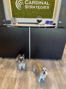 Puppies at the office
